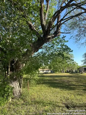 207 River Road, La Vernia, TX 78121 - Image #3