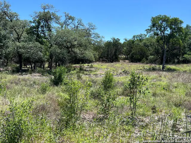 287 Curvatura, New Braunfels, TX 78132 - Image #3