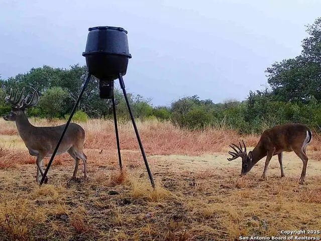 234 Pvt Rd 5000, Utopia, TX 78884 - Image #1