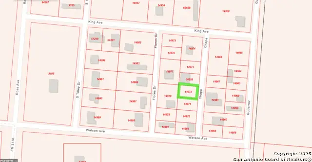 808 Chapa, Devine, TX 78016 - Image #3