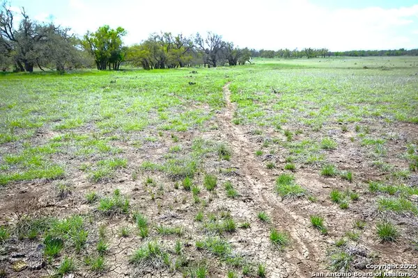 2972 S Ranch Rd 783, Harper, TX 78631