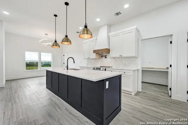 236 Peter Kleid Loop, Blanco, TX 78606 - Image #1