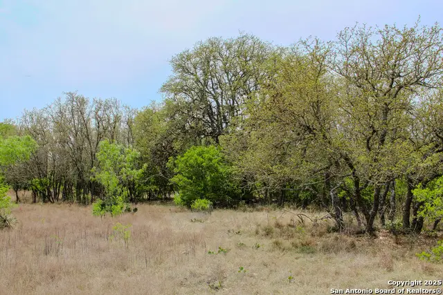 0000 County Road 341, Hondo, TX 78861 - Image #3