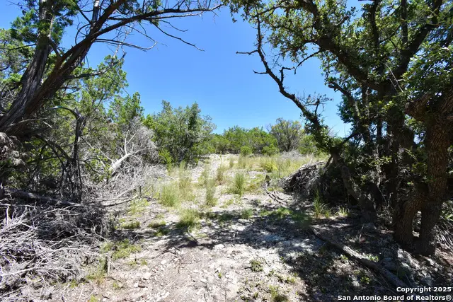 296 Timber Creek, Pipe Creek, TX 78063 - Image #3