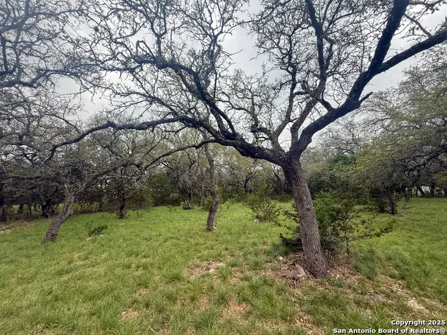 23407 Osceola Bluff, San Antonio, TX 78261 - Image #3