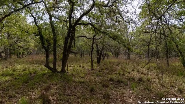 TBD Post Oak, Floresville, TX 78114 - Image #1