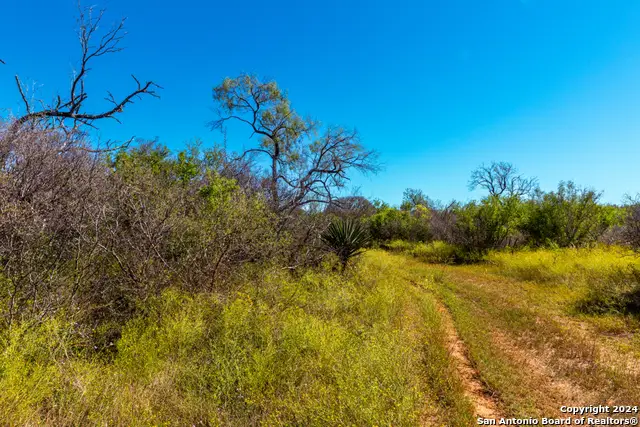 CR 661 661, Devine, TX 78016 - Image #2
