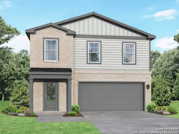 2543 Dry Moss Way, San Antonio, TX 78224