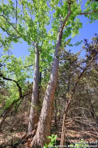 324 E Headwaters Ranch, Kendalia, TX 78027 - Image #2