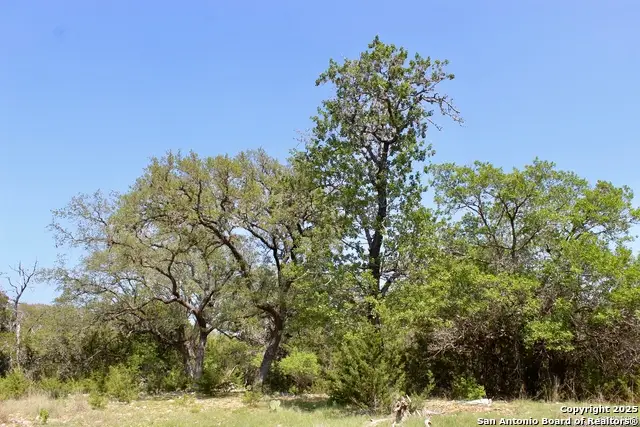 LOT 55-56 Pr 1523, Bandera, TX 78003 - #3