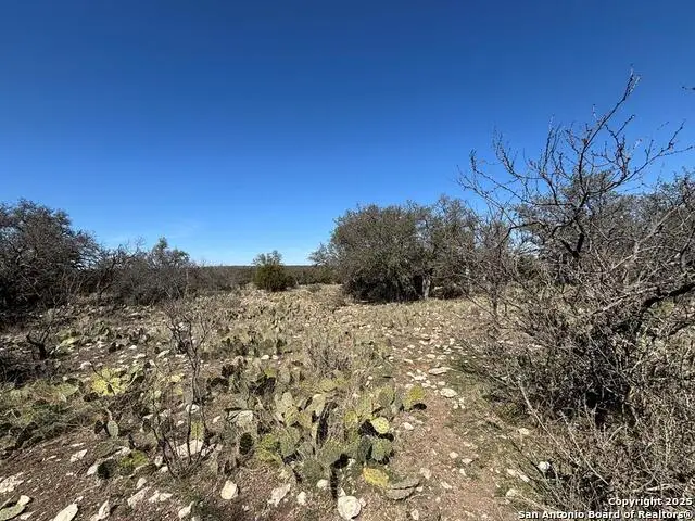 221 Turkey Run, Eldorado, TX 76936 - Image #2