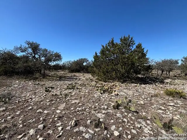 221 Turkey Run, Eldorado, TX 76936 - Image #3