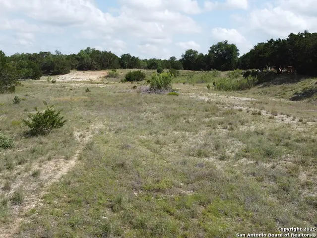 233 Rosinweed, Spring Branch, TX 78070 - Image #2