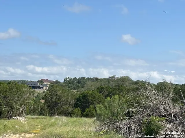 1482 Trailhead, New Braunfels, TX 78132 - Image #3
