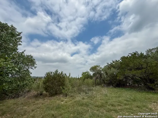 117 Calhoon Court, Canyon Lake, TX 78133 - Image #3