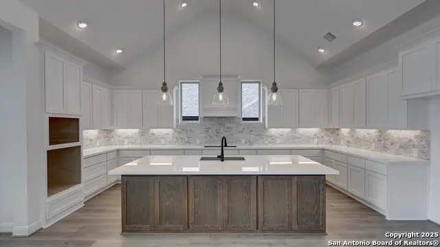 10036 Forelock Creek, San Antonio, TX 78254 - Image #2