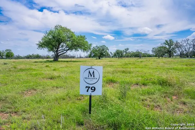 LOT 79 Stock Pond Dr, Humble, TX 79631 - Image #2