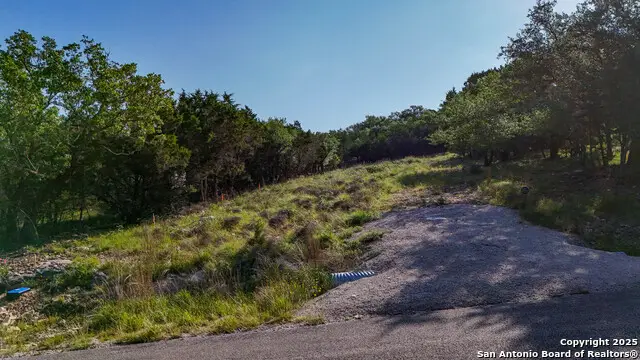 649 Kindersley St, Canyon Lake, TX 78133 - Image #3