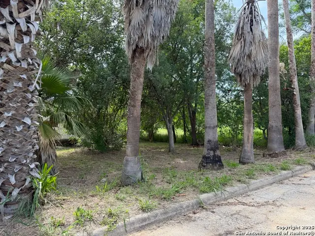 504 Water, Pleasanton, TX 78064 - Image #2