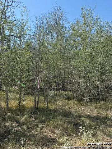 421 Kerr Ave, Sutherland Springs, TX 78161 - Image #1