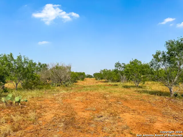 000 County Road 429, Pleasanton, TX 78064 - Image #1