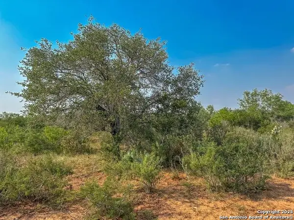 1294 Cr 429, Pleasanton, TX 78064