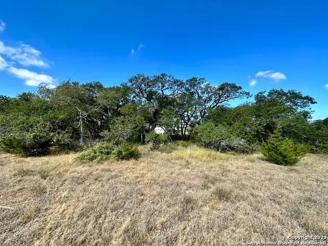 34676 Ansley Ridge Trl, Bulverde, TX 78163 - Image #3