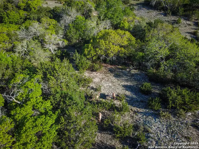 000 Blackbuck Trail, Pipe Creek, TX 78063 - #3