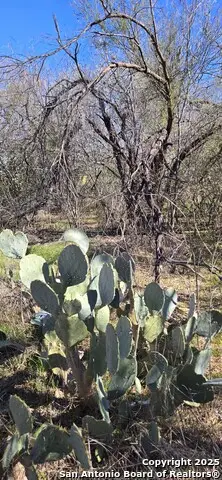 421 Coyol, San Antonio, TX 78237 - Image #1