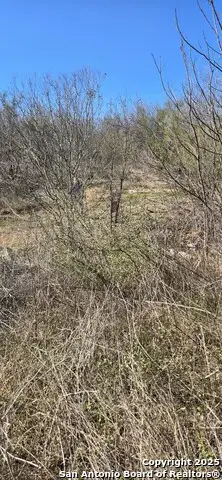 421 Coyol, San Antonio, TX 78237 - Image #2