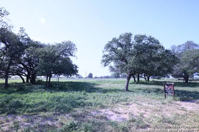 309 Firewheel Loop, Floresville, TX 78114 - Image #1