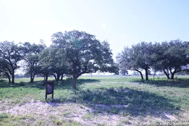 309 Firewheel Loop, Floresville, TX 78114 - Image #2