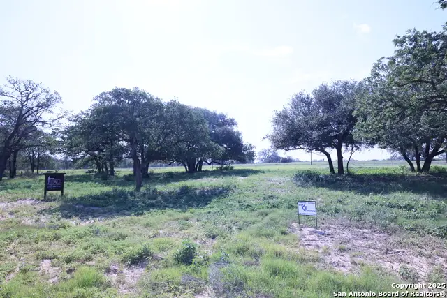 309 Firewheel Loop, Floresville, TX 78114 - Image #3
