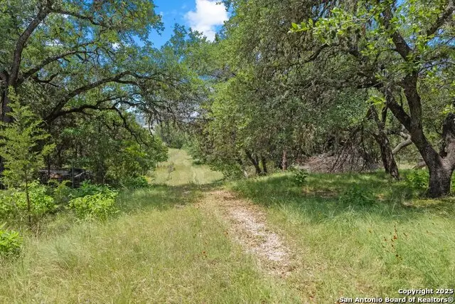 2120 Lakeshore, Canyon Lake, TX 78133 - #3