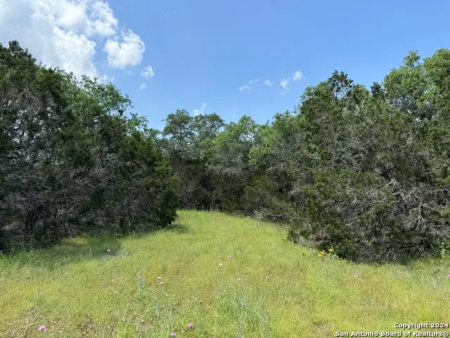 343 Serenity Pass, Spring Branch, TX 78070 - #2