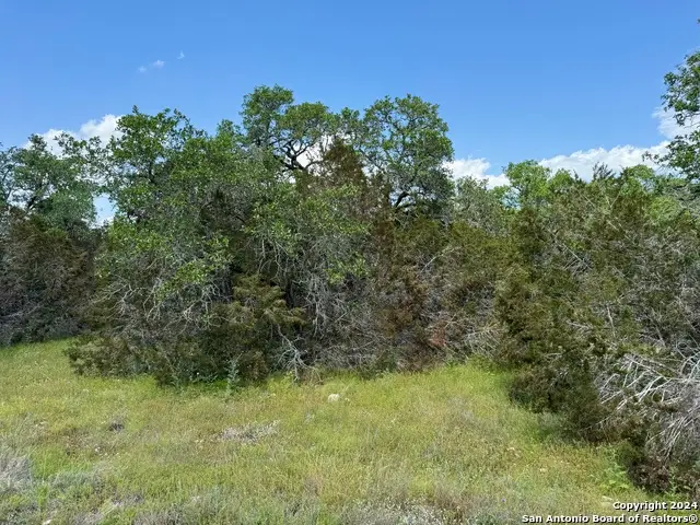 343 Serenity Pass, Spring Branch, TX 78070 - #3