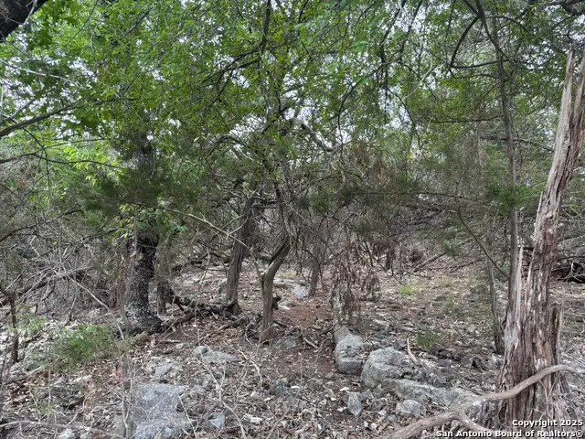 1424 Stahlman, New Braunfels, TX 78132 - Image #1