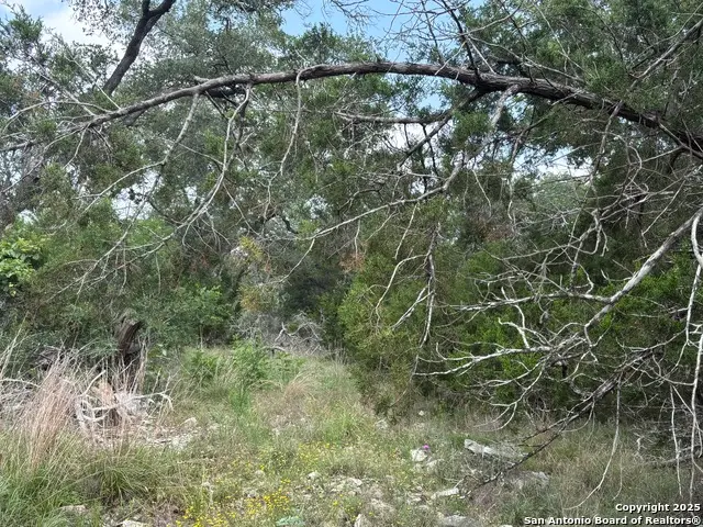 1424 Stahlman, New Braunfels, TX 78132 - Image #3