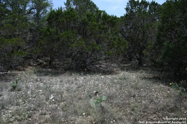 135 Agarita, Spring Branch, TX 78070
