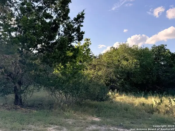 LOT 10 Rocky Point Drive, Spring Branch, TX 78070