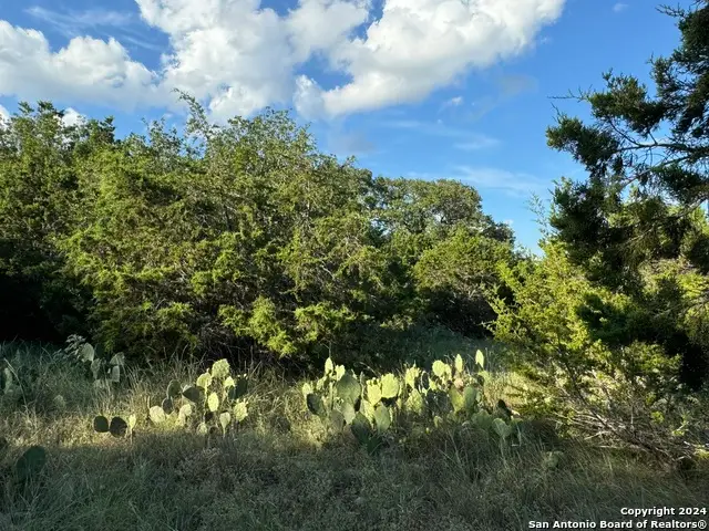 LOT 10 Rocky Point Drive, Spring Branch, TX 78070 - #2
