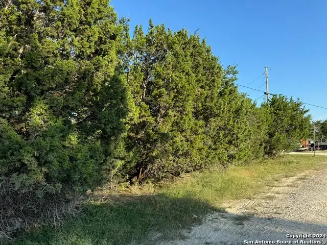 LOT 10 Rocky Point Drive, Spring Branch, TX 78070 - #3
