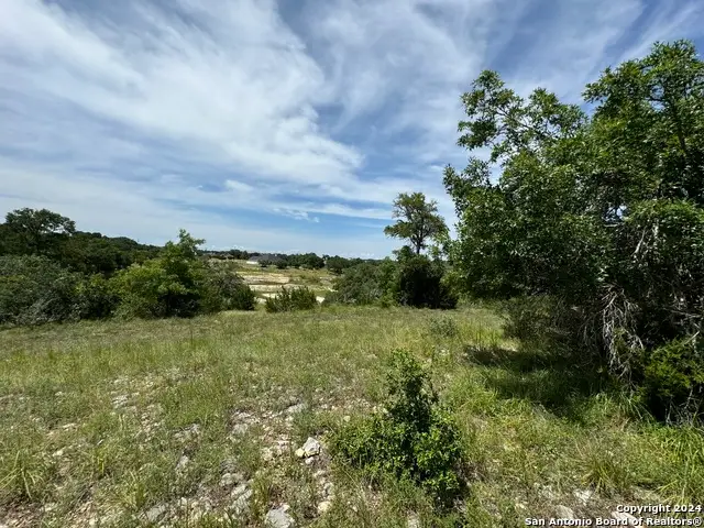 134 W Eli Chandler, Blanco, TX 78606 - Image #1