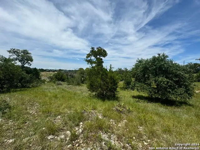 134 W Eli Chandler, Blanco, TX 78606 - Image #3