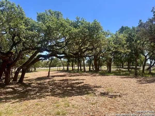 288 Scenic Canyon, New Braunfels, TX 78132