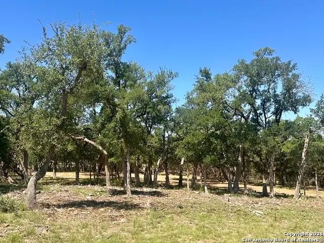288 Scenic Canyon, New Braunfels, TX 78132 - Image #2