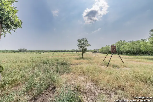 1379 County Road 772, Natalia, TX 78059 - Image #2