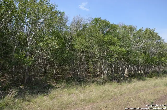 025 Wesp Way, San Antonio, TX 78233 - Image #2
