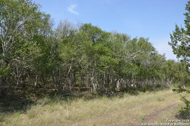 025 Wesp Way, San Antonio, TX 78233 - Image #3