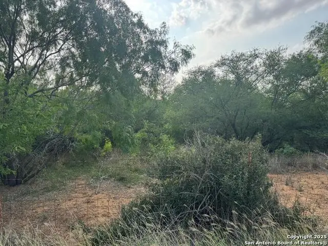 000 Granato, Poteet, TX 78065 - Image #3